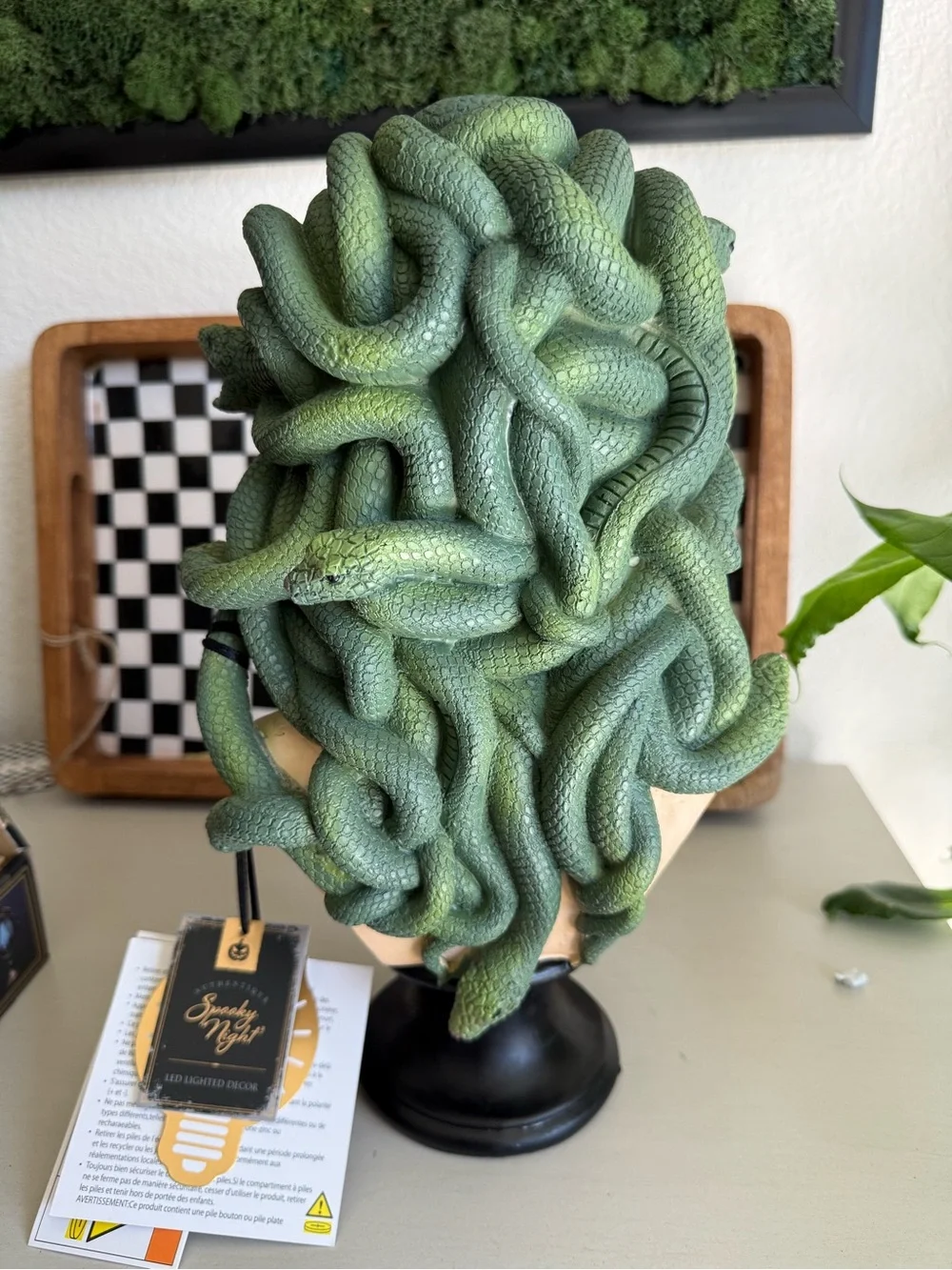 N/A decorative medusa